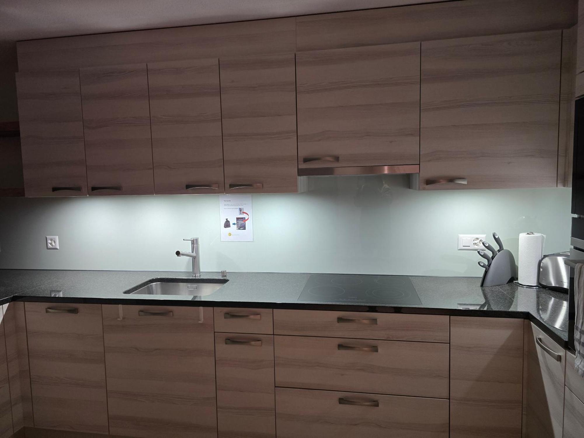Harder Apartment - Aare Jungfrau Ag Вилдерсвил Екстериор снимка